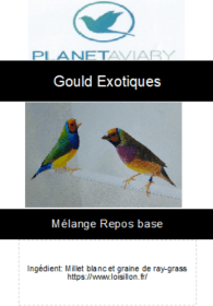 Capture d’écran 2023-04-08 1045563